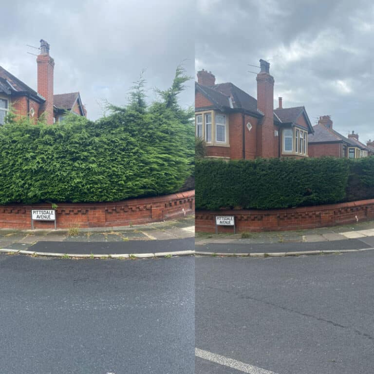 Hedge Trimming and Maintenance Services Atherton