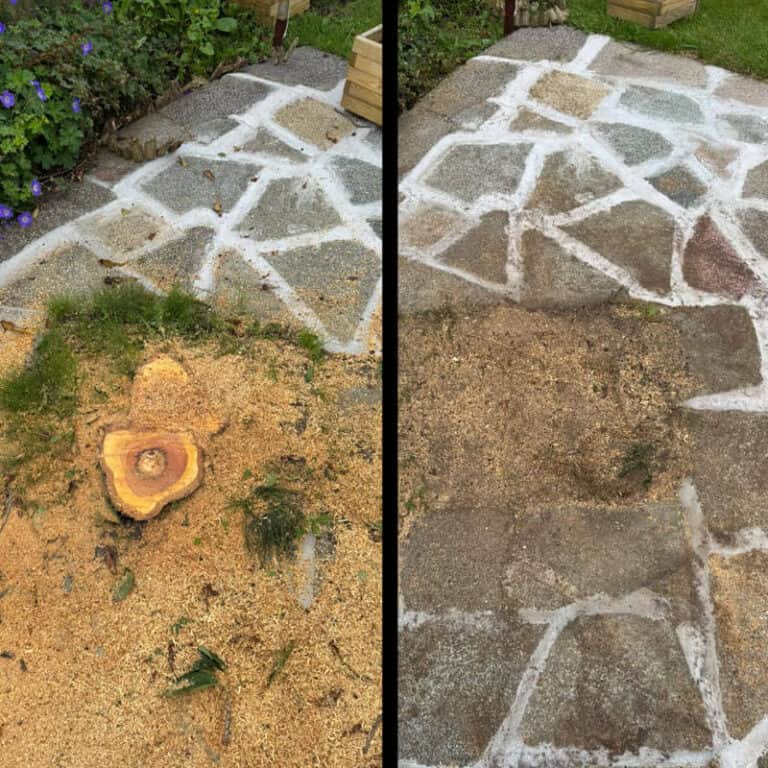 Tree Stump Removal Atherton Made Easy