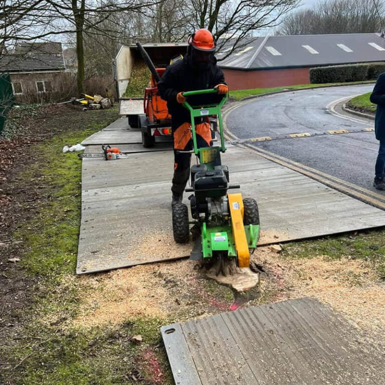 Professional Stump Grinding in Atherton