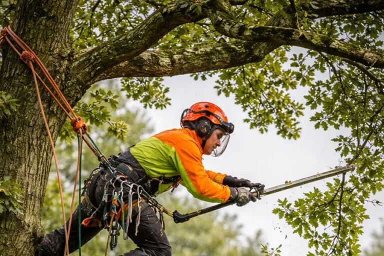 Reasons to Choose Tyldesley Tree Specialists